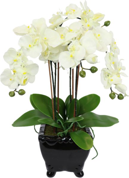 Kunstblume Künstliche Orchidee in Schale Phalaenopsis günstig online kaufen
