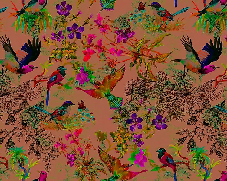 Fototapete "funky birds 3" 4,00x2,70 m / Glattvlies Perlmutt günstig online kaufen