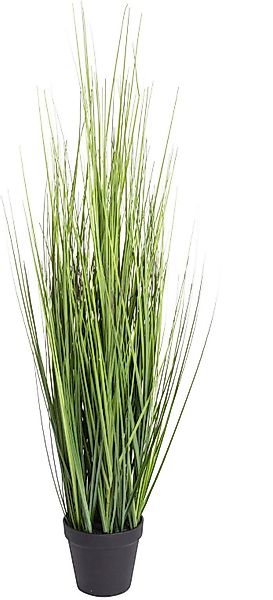 Kunstgras Gras Festuca Gras, Botanic-Haus, Höhe günstig online kaufen