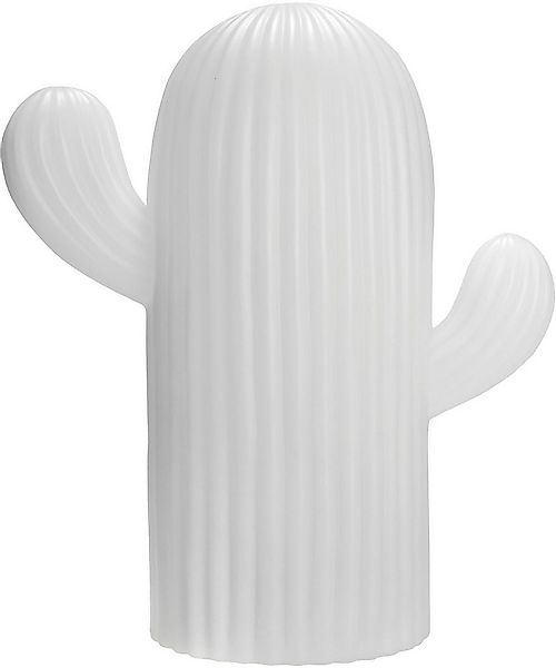 my home LED Solarleuchte Elowyn, LED-Solar Kaktus, RGB, Tageslichtsensor, L günstig online kaufen