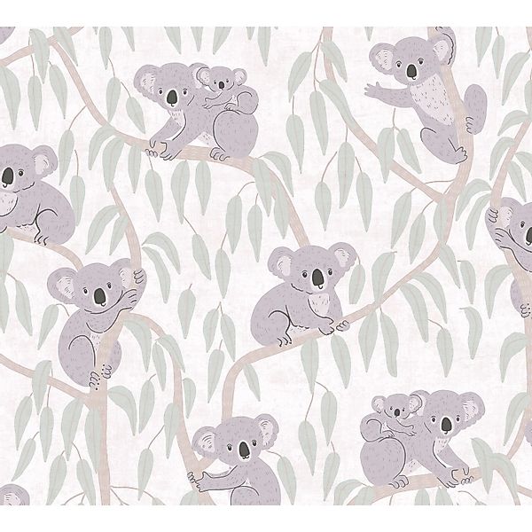 A.S. Creation Vliestapete Koalabär 10,05 m x 0,53 m Beige-Grau-Grün FSC® günstig online kaufen