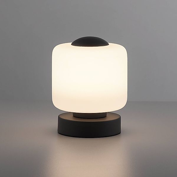 Paul Neuhaus LED-Tischleuchte Bota, anthrazit, Glas, dimmbar günstig online kaufen