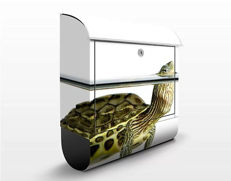Briefkasten Tiere Schildkröte günstig online kaufen