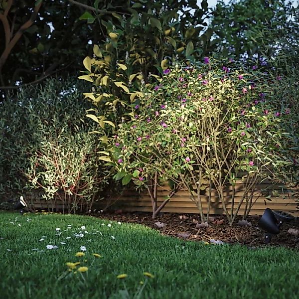 Paulmann LED Gartenstrahler "Solar Spot Solena IP44 3000K 2lm Schwarz", 1 f günstig online kaufen