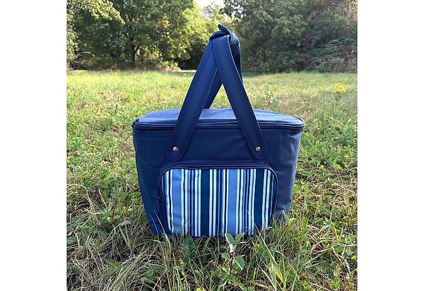 SVITA Korbtasche, Kühltasche, Tragetasche, Kühlbox, Lunchtasche, mit Trageg günstig online kaufen