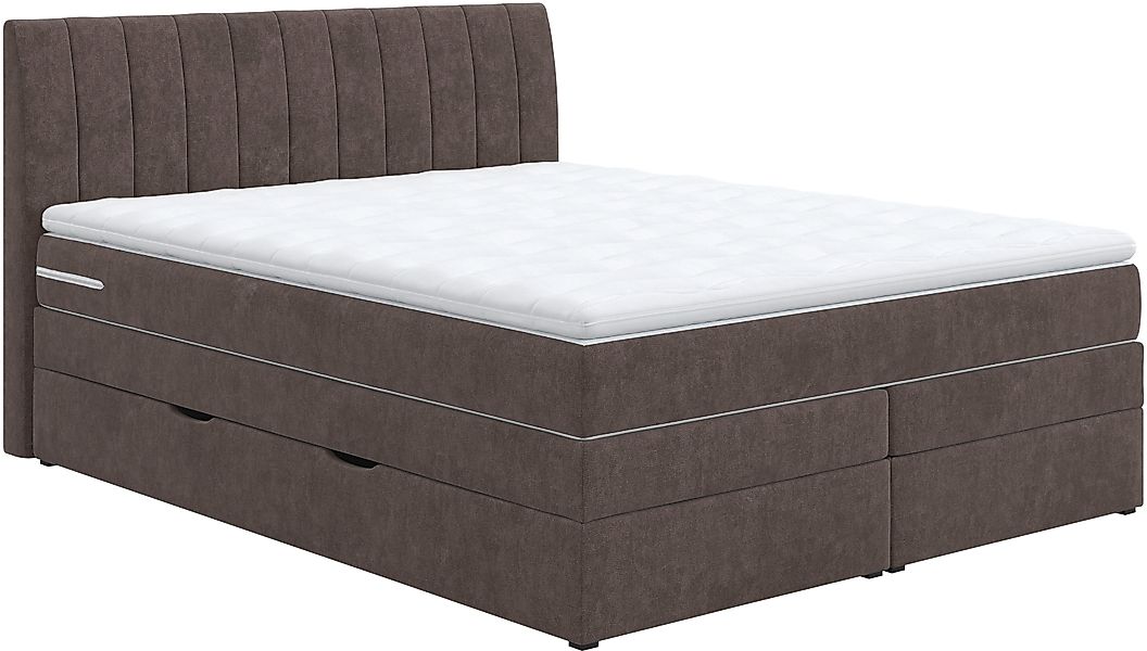COTTA Boxspringbett »Shark inkl. Bettkasten und Topper«, erhältlich in den günstig online kaufen