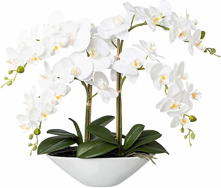 Creativ green Kunstorchidee "Deko-Orchidee Phalaenopsis in Keramikschale" günstig online kaufen