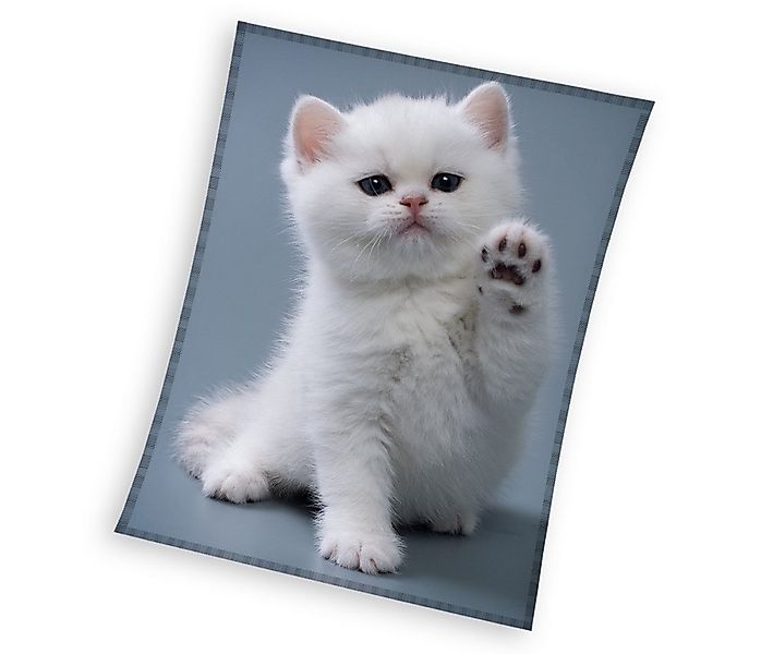 Wohndecke Katze Fleecedecke Kuscheldecke 150 x 200 cm, Carbotex günstig online kaufen