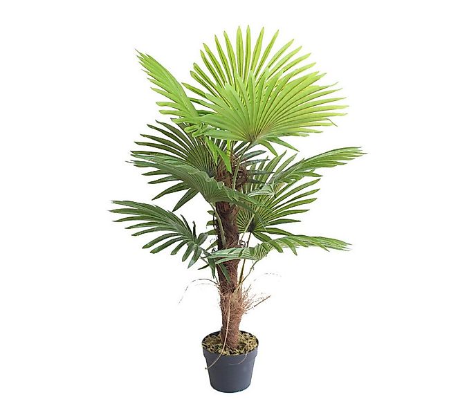 Kunstpalme SMARAGDLINE künstliche Palmen in verschiedenen Ausführungen und günstig online kaufen