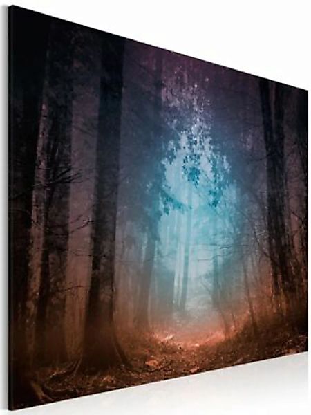 artgeist Wandbild Edge of the forest mehrfarbig Gr. 60 x 40 günstig online kaufen