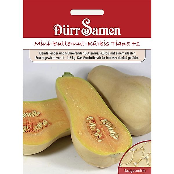 Dürr Samen Mini-Butternut-Kürbis Tiana F1 Saatgut günstig online kaufen