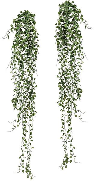 Kunstranke Mühlenbeckia-Hänger Mühlenbeckia, Creativ green, Höhe günstig online kaufen