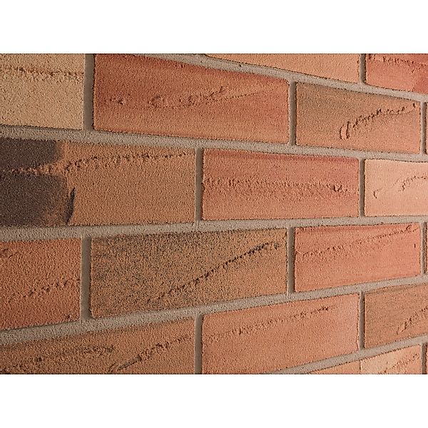 Elabrick Verblender Palermo 24 cm x 7,1 cm günstig online kaufen