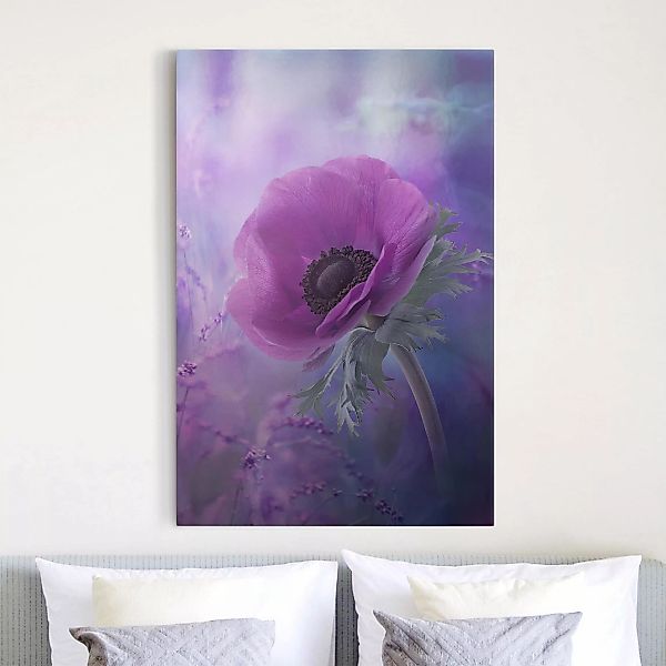 Leinwandbild - Hochformat Anemonenblüte in Violett günstig online kaufen