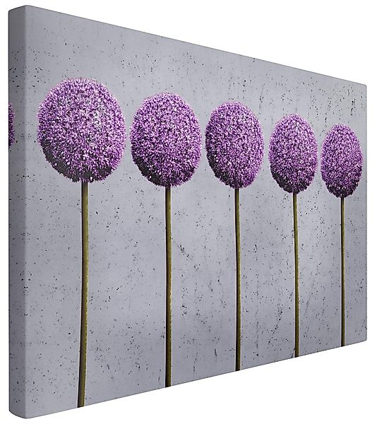 Bilderdepot24 Leinwandbild Blumen Modern Natur Allium günstig online kaufen