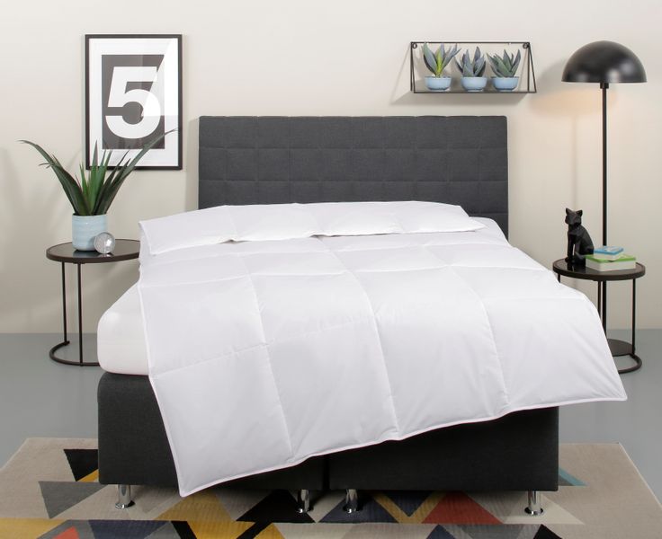 my home Daunenbettdecke "Cyra, Bettdecke 135x200 cm, 155x220 cm" normal Fül günstig online kaufen