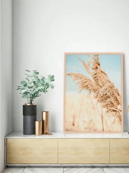 Liv Corday Wandbild Strandhafer beige Gr. 60 x 80 günstig online kaufen
