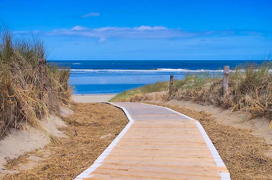 Papermoon Fototapete »Langeoog Dunes« günstig online kaufen