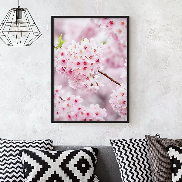 Bild mit Rahmen Japanische Kirschblüten günstig online kaufen