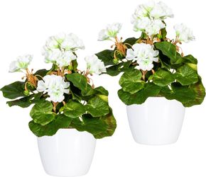 Home affaire Kunstpflanze "Havel" im Topf, 2er Set günstig online kaufen