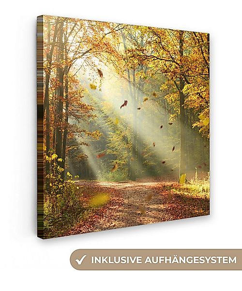 OneMillionCanvasses® Leinwandbild Wald - Bäume - Herbst - Sonne - Herbstblä günstig online kaufen