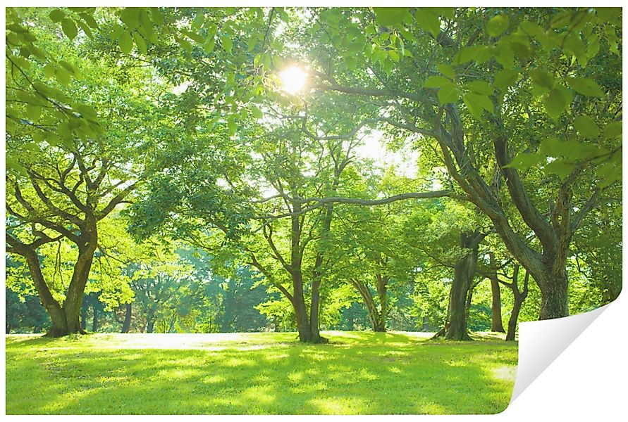 Wallarena Fototapete Wald Sonne Natur Vlies günstig online kaufen