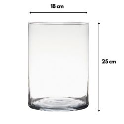 Hakbijl Glass Dekovase ZYLINDER, vielseitig dekorierbar günstig online kaufen