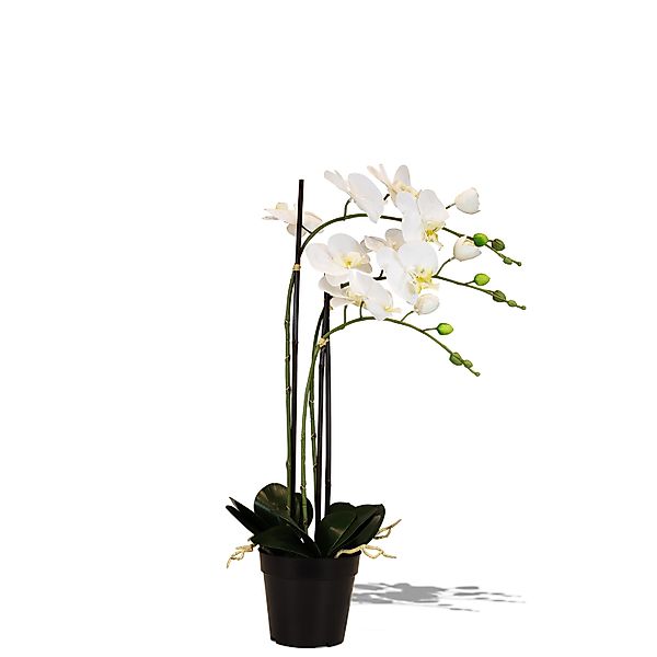 Künstliche Orchidee weiß 76 cm günstig online kaufen