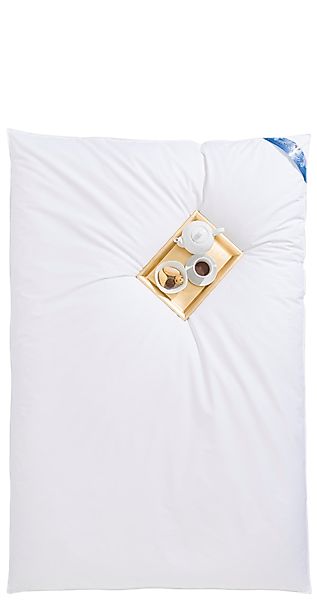 RIBECO Federbettdecke Leon, Ballonbettdecke 135x200 & günstig online kaufen