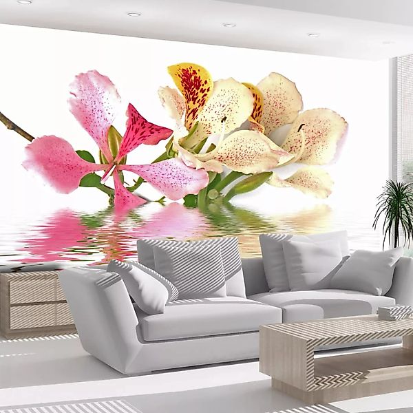 Fototapete - Tropische Blumen (bauhinia) günstig online kaufen
