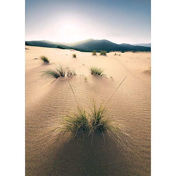 Vlies Fototapete Vivid Dunes 200x280 cm günstig online kaufen