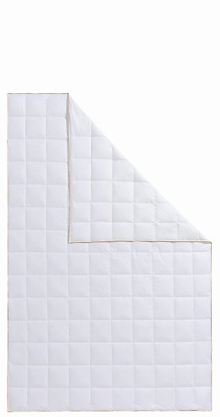 Frau Holle Gänsedaunenbettdecke "Dana, Bettdecken für Sommer oder Winter, h günstig online kaufen