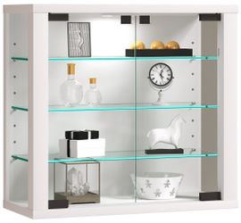 VCM Hängevitrine Wandvitrine Hängevitrine Glasvitrine Vitrosa günstig online kaufen