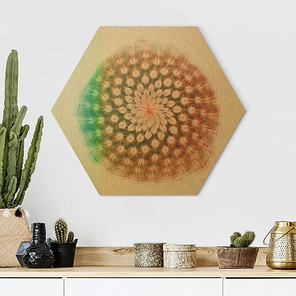 Hexagon-Alu-Dibond Bild Abstrakt Wasserfarben - Kaktusblüte günstig online kaufen