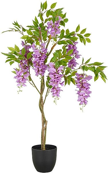 Kunstpflanze Wisteria, Creativ green, Höhe 100 cm, mit zahlreichen Blüten günstig online kaufen