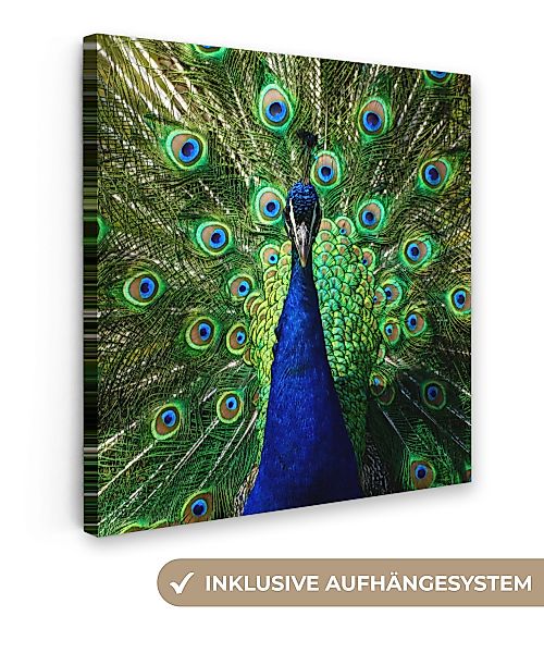 OneMillionCanvasses® Leinwandbild Pfau - Federn - günstig online kaufen