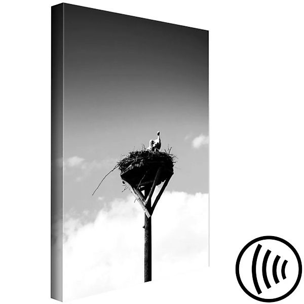Bild auf Leinwand Elterliche Horizonte - Schwarz-Weiß-Foto mit Vögeln am Hi günstig online kaufen