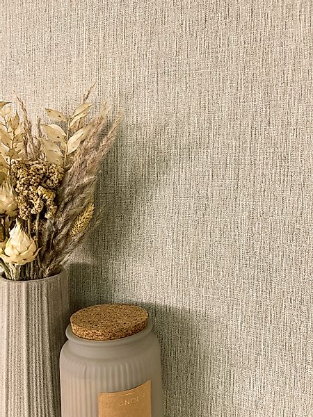Newroom Vliestapete, Taupe Tapete Modern Unifarbe günstig online kaufen