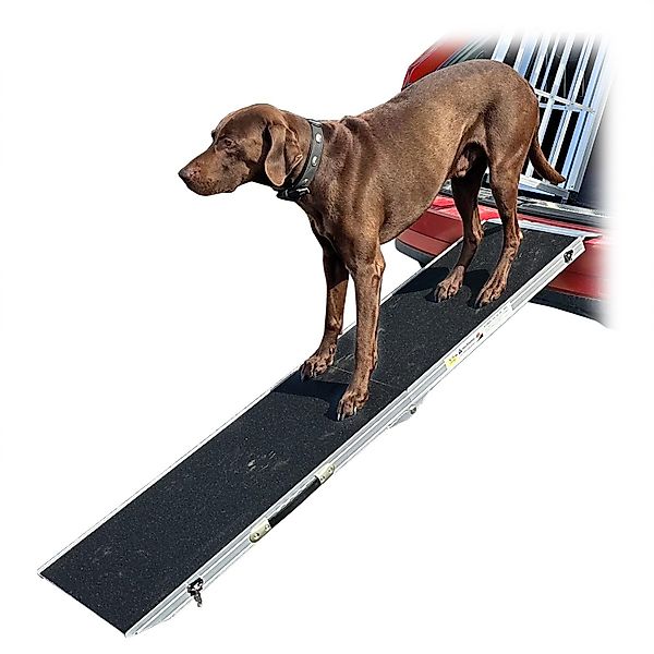 Petigi Hunderampe Einstiegshilfe Hunderampe Alu Hundetreppe günstig online kaufen