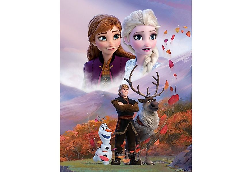 BERONAGE Tagesdecke Frozen Die Eiskönigin Decke Sky 130x170 cm Kuscheldecke günstig online kaufen