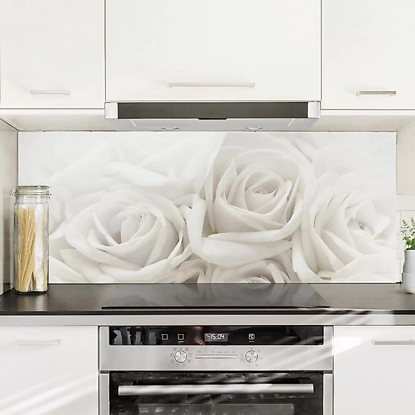 Glas Spritzschutz Blumen - Panorama Weiße Rosen günstig online kaufen