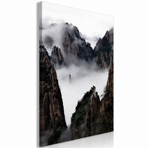 artgeist Wandbild Fog Over Huang Shan (1 Part) Vertical schwarz/weiß Gr. 40 günstig online kaufen