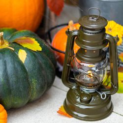 Feuerhand Laterne Sturmlaterne 276 oliv, Baby günstig online kaufen