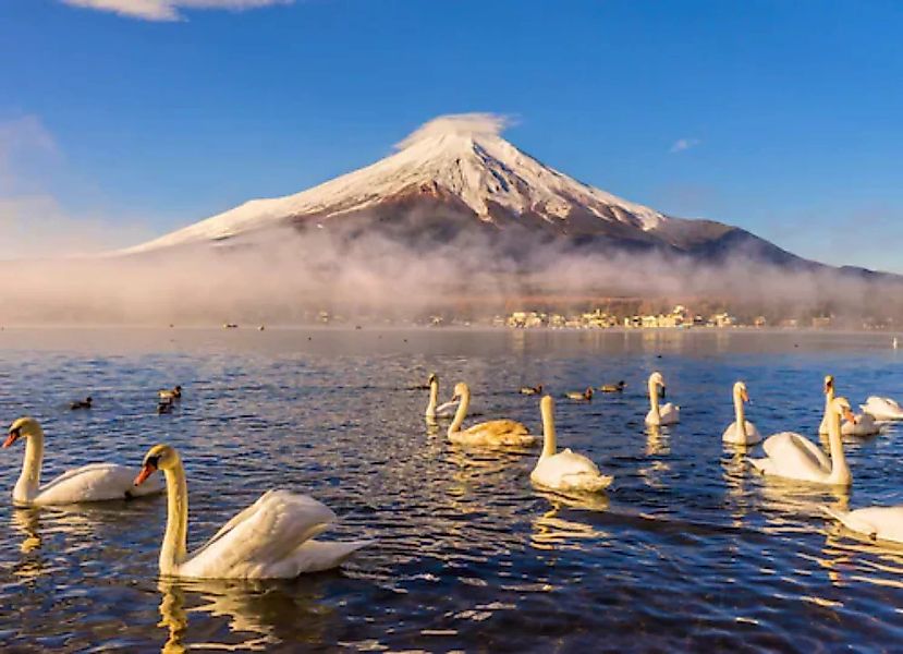 Papermoon Fototapete »Mount Fuji« günstig online kaufen