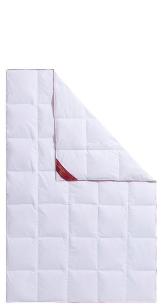 Hanse by RIBECO Daunenbettdecke "Jule" leicht Füllung 90Daunen10Federn 1 St günstig online kaufen