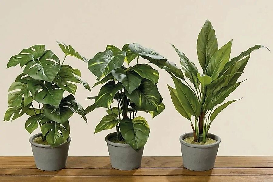 Boltze Kunstpflanzen & -blumen Pflanze im Topf 35 cm sortiert (1 Stück) (gr günstig online kaufen