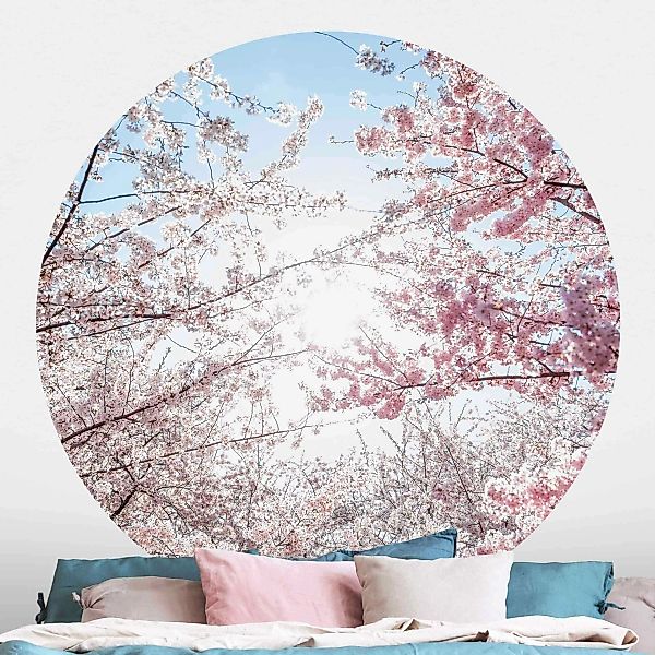 Runde Tapete selbstklebend Zwischen Kirschblütenzweigen günstig online kaufen