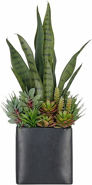 Creativ green Kunstpflanze "Arrangement aus Sukkulenten", mit verschiedenen günstig online kaufen