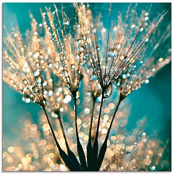 Artland Glasbild "Pusteblume Schirmchen abstrakt" Blumen 1 Stk. tlg. in ver günstig online kaufen