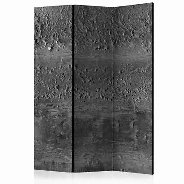 artgeist Paravent Grey Storm [Room Dividers] grau Gr. 135 x 172 günstig online kaufen